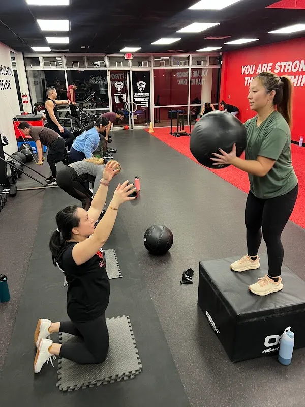 GeneWorks Fitness/The Bodyweight Bootcamp