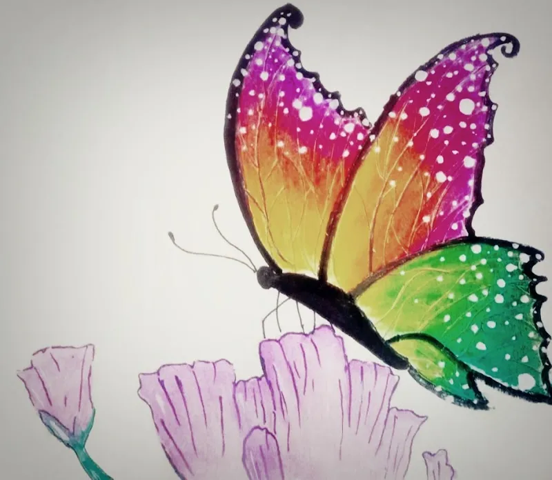 Online Drawing Classes, Art and craft class