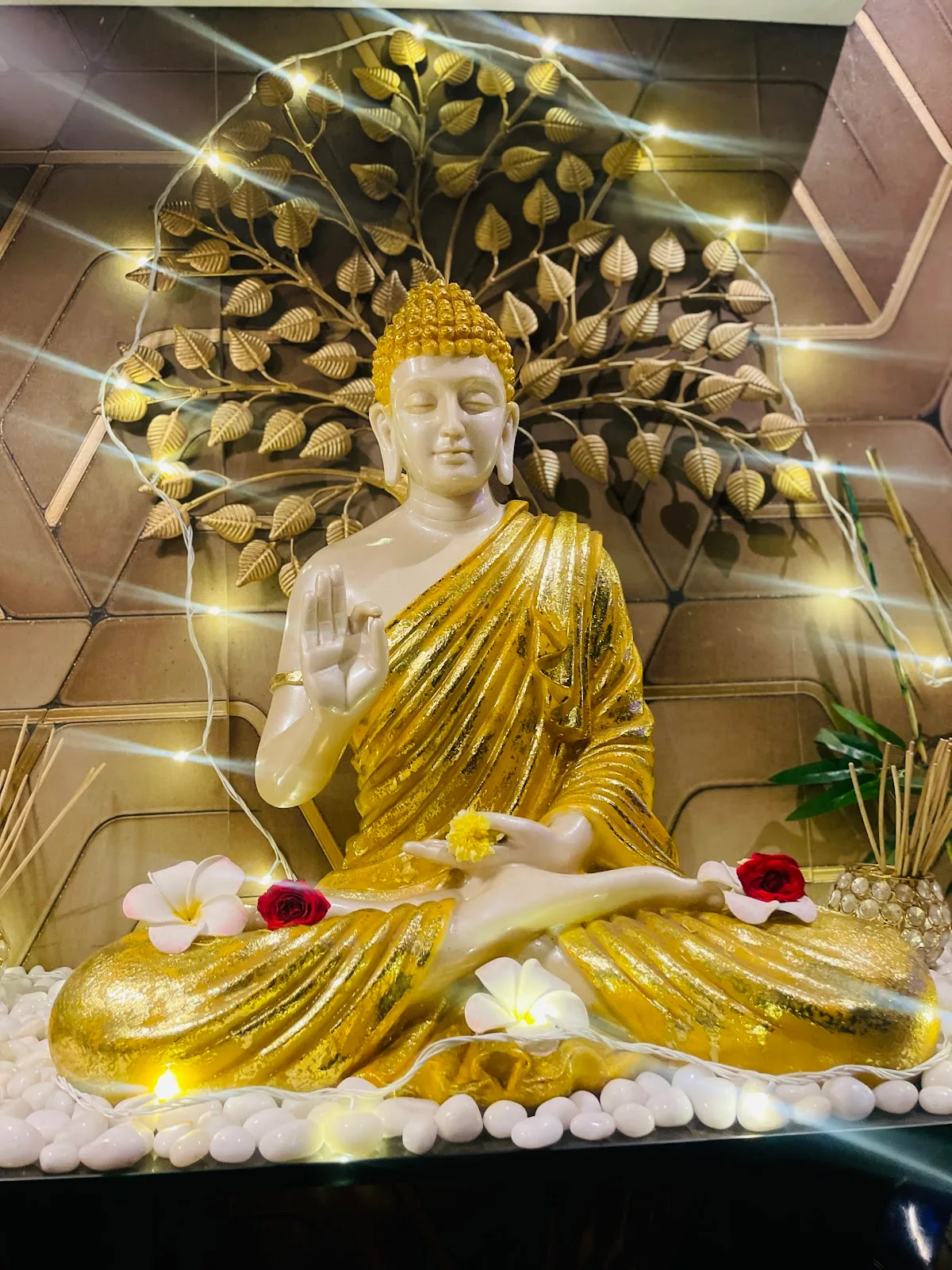 Asiatic Spa & Wellness