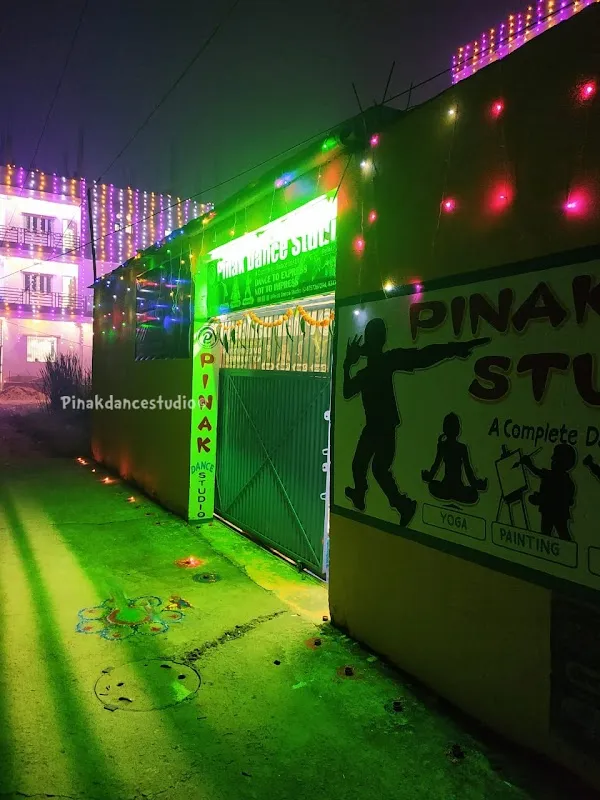 Pinak Dance Studio - Best Hip-Hop Classes/Western Dance/Kathak Classical Dance/Karate/Painting in Patna