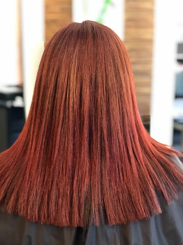 Halo Salon