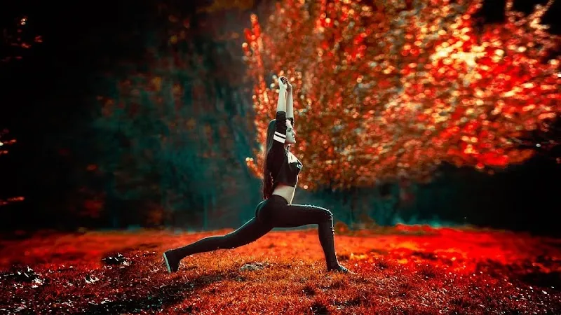 Yogalya – Yoga Studio, Teacher & Online Classes in Saket, South Delhi