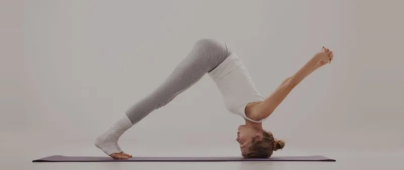 Yogalya – Yoga Studio, Teacher & Online Classes in Saket, South Delhi