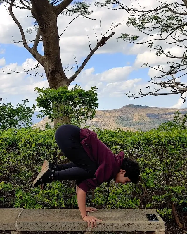 Bliss Yoga