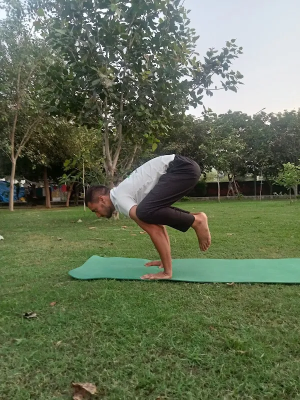 Yogmaya Institute | Yoga Center - Yoga Teacher Training Institute / Course