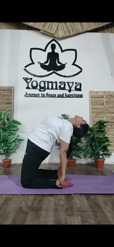 Yogmaya Institute | Yoga Center - Yoga Teacher Training Institute / Course