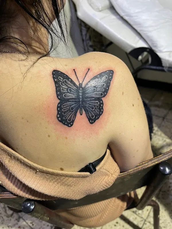 Lynx Tattoos DZ