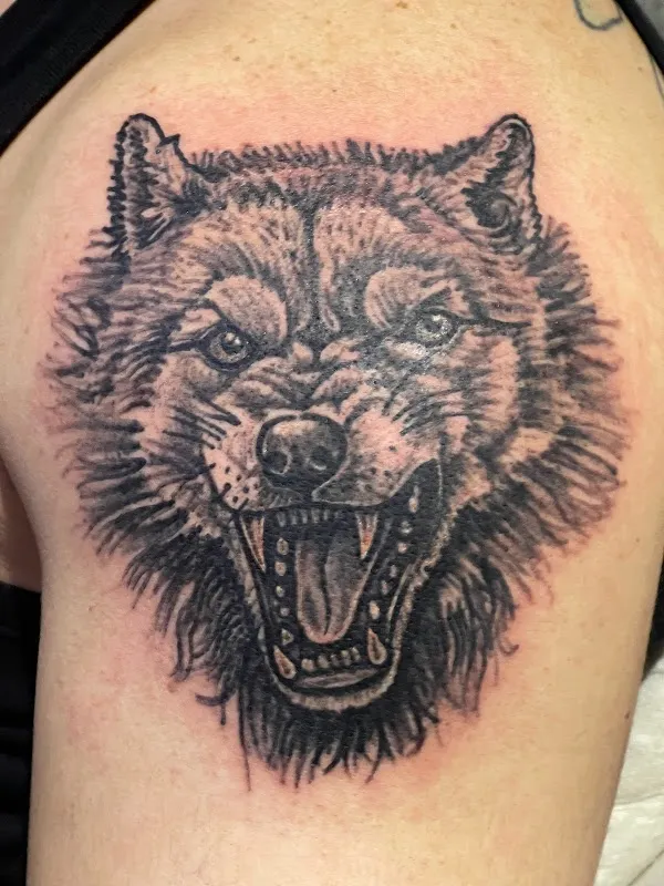 Lynx Tattoos DZ