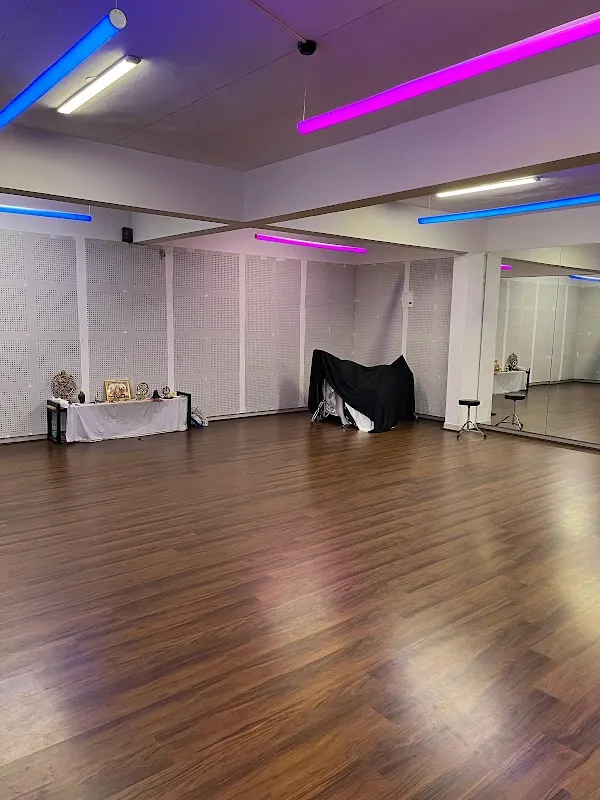 The Dance Company