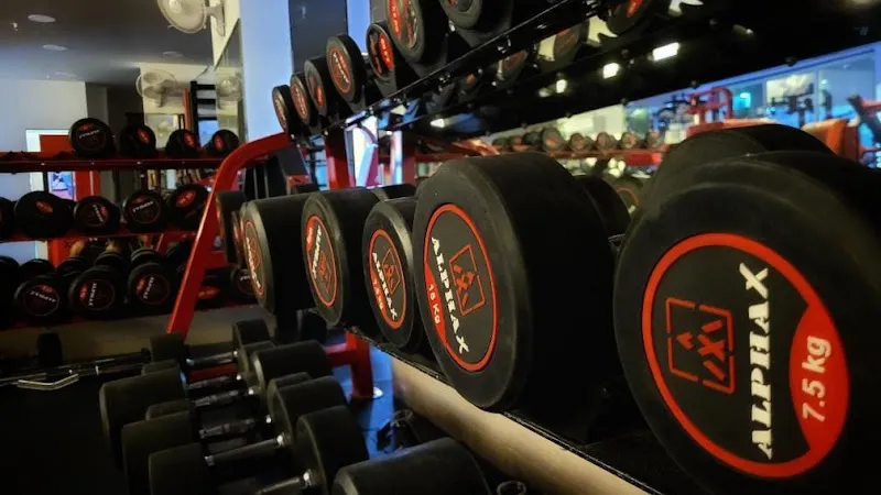 Fitness Point