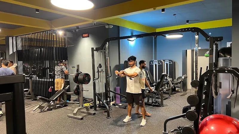 IRON TRIBE GYM