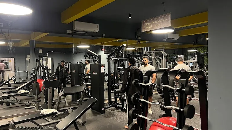 IRON TRIBE GYM