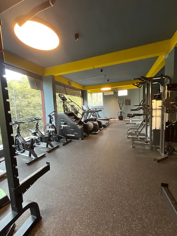 IRON TRIBE GYM