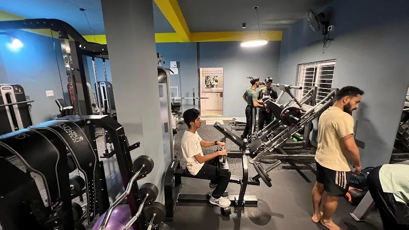 IRON TRIBE GYM