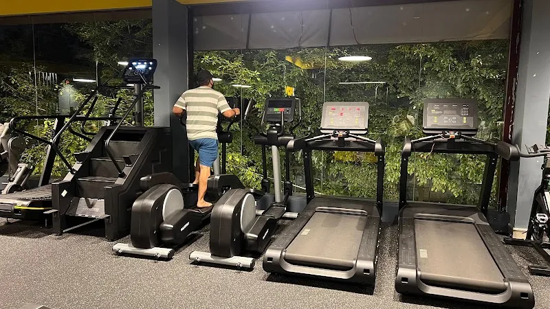 IRON TRIBE GYM