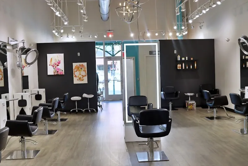 Artisan Hair Cary