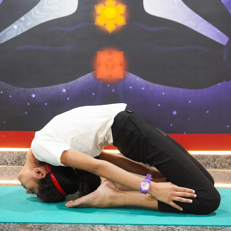 Vihangam Yoga and Nutrition Centre