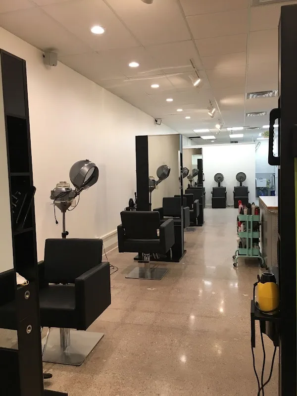 Cilantro Hair Spa, LLC