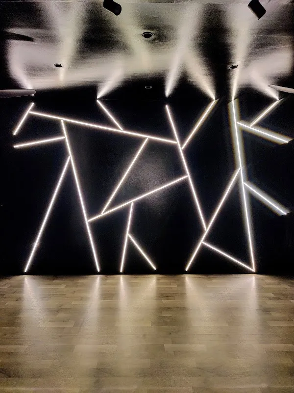 Aniketh's Dance Art Institute