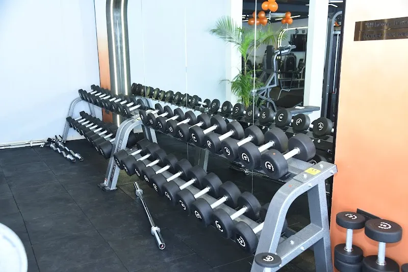 SPIRITO THE GYM