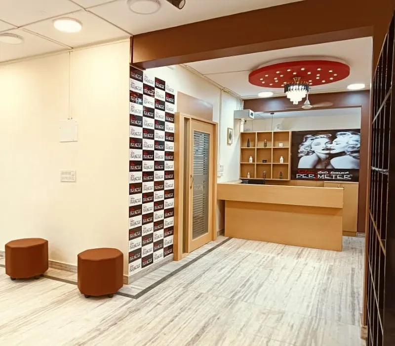 Salon Perimeter VV Puram