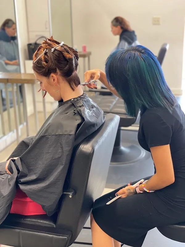 Fringe Salon and Color Bar