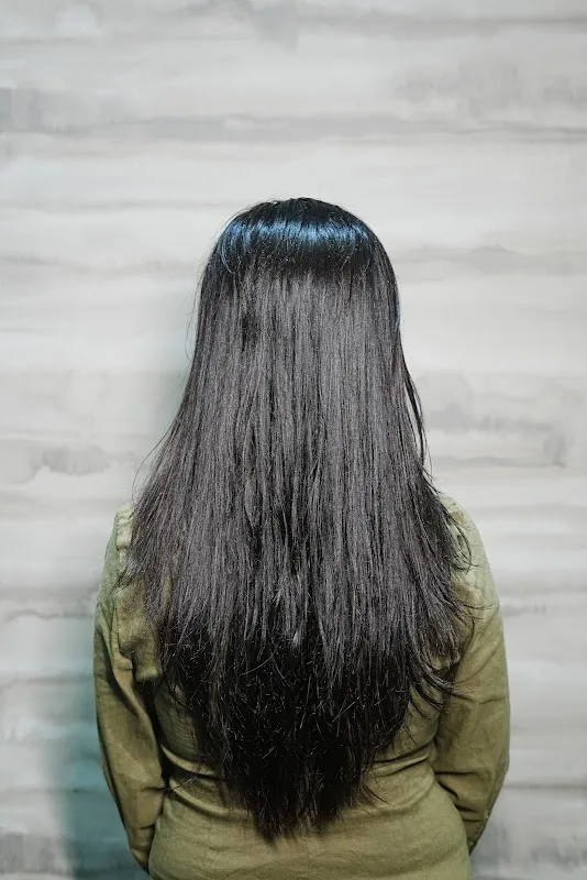 Zorro The Family Salon - (Saki Naka)