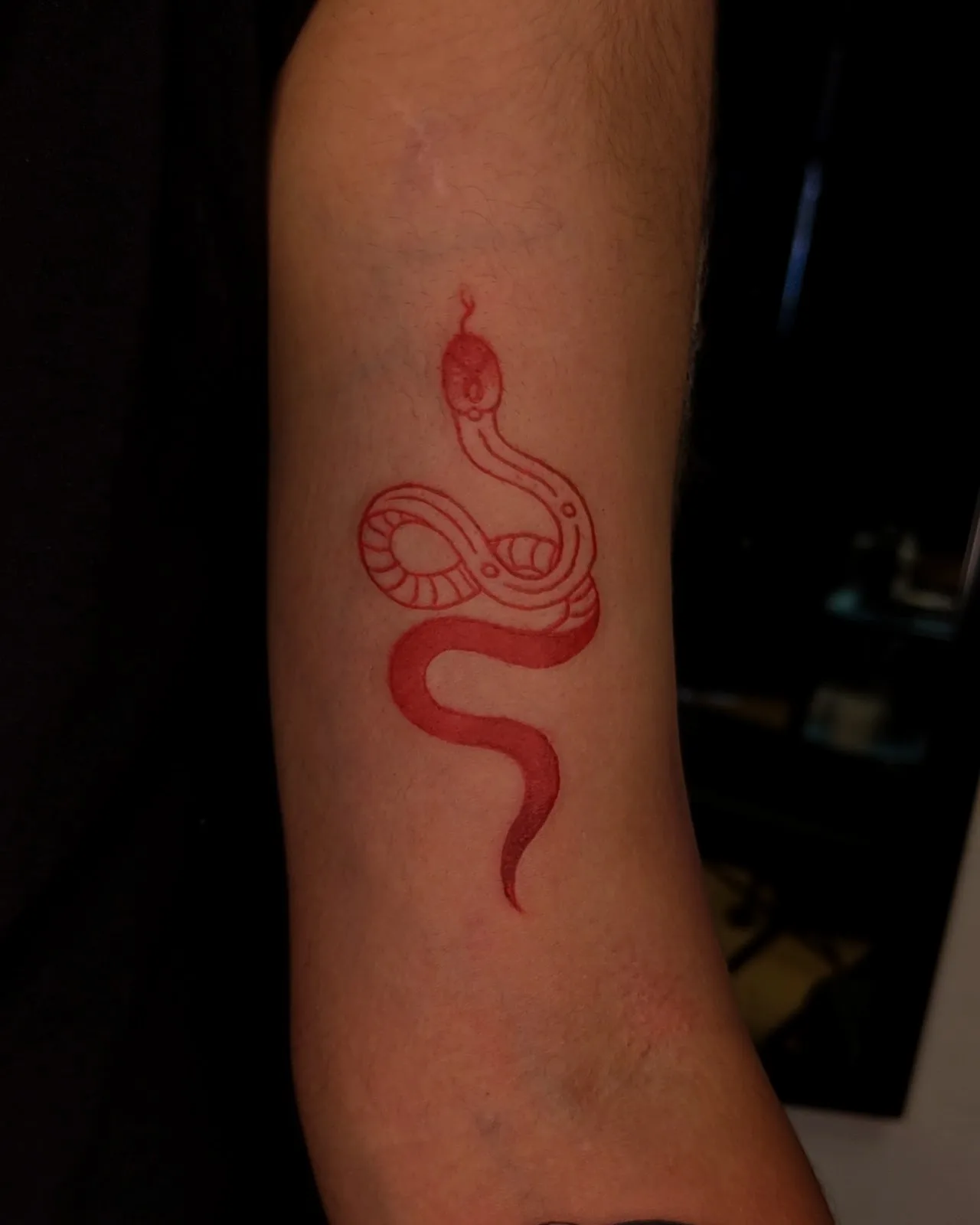 INKCRUZ - Best Tattoo & Piercing Studio