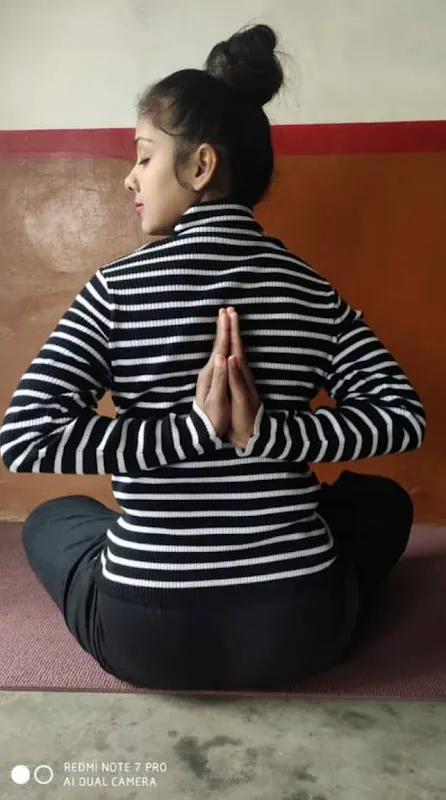 Yogic Pathshala-Yoga Institute & Fitness Studio near Hyderabad Gate BHU, Varanasi