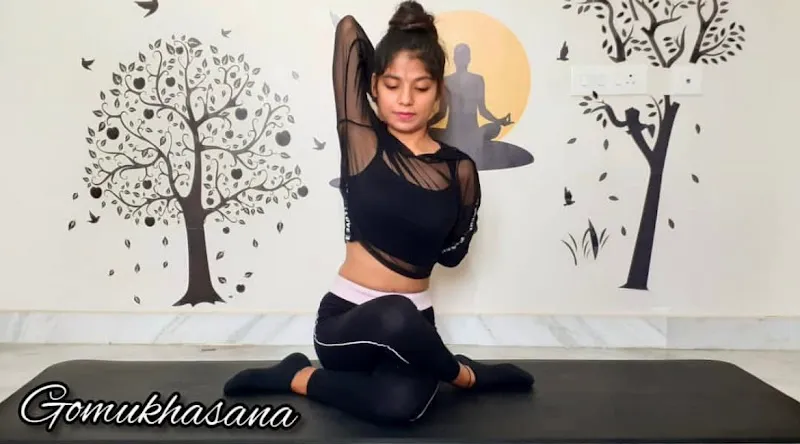 Yogic Pathshala-Yoga Institute & Fitness Studio near Hyderabad Gate BHU, Varanasi