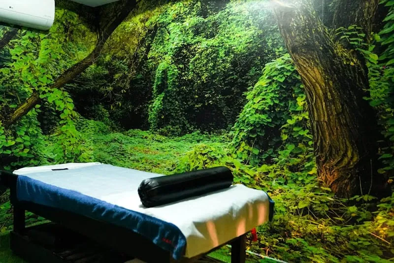 Ark Wellness Spa