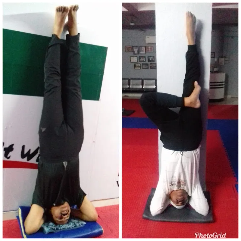 Wellness Power Yoga