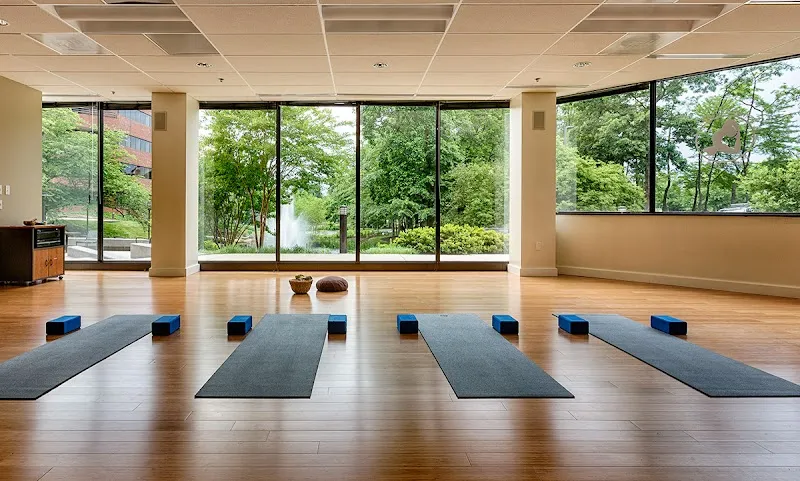 Ashatang Yog Studio