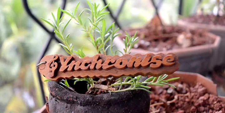 Synchronise Music Studio