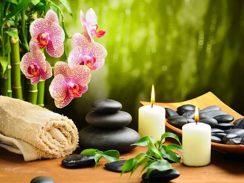 LIFE Day Spa, LLC