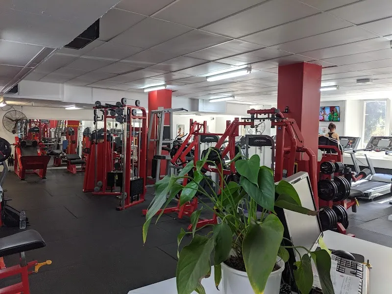 Iron Industry Gym