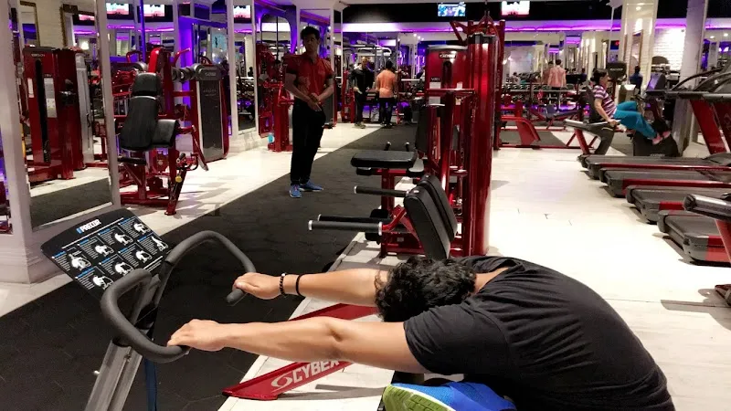 Nitrro Bespoke Fitness Breach Candy