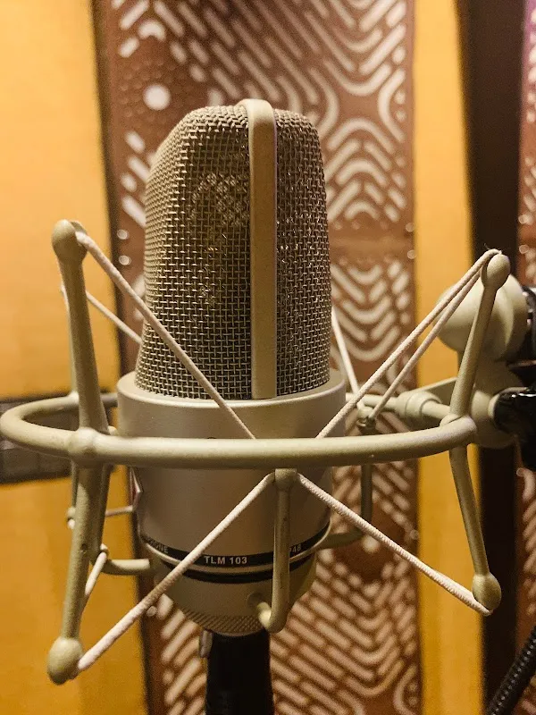 Muzicaa Recording & Film Dubbing Studio