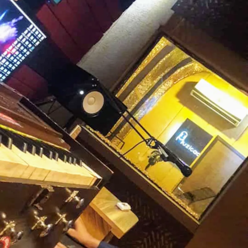 Muzicaa Recording & Film Dubbing Studio