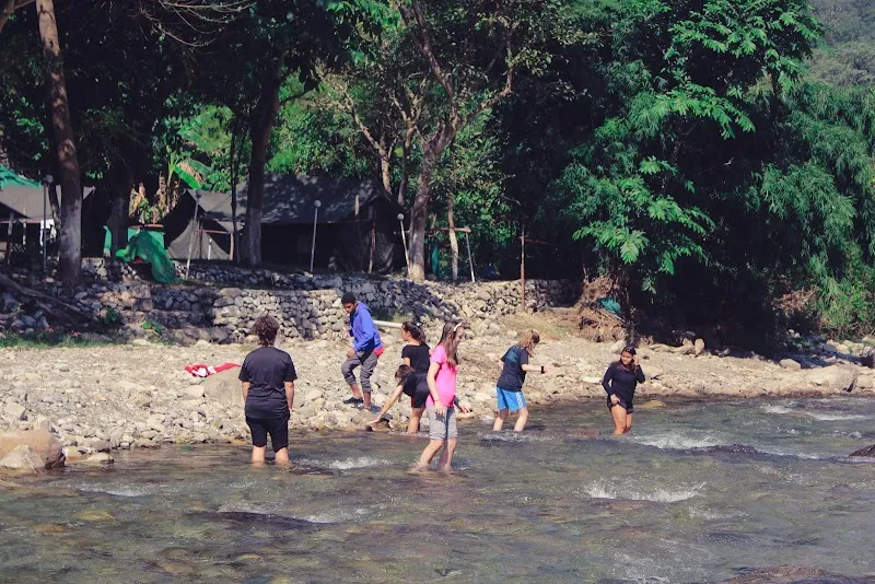 Vinyasa Yoga Ashram | Yoga Teacher Training in Rishikesh India
