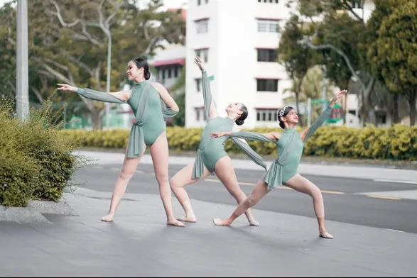 Taneo Dance Academy