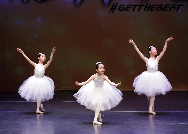 Taneo Dance Academy
