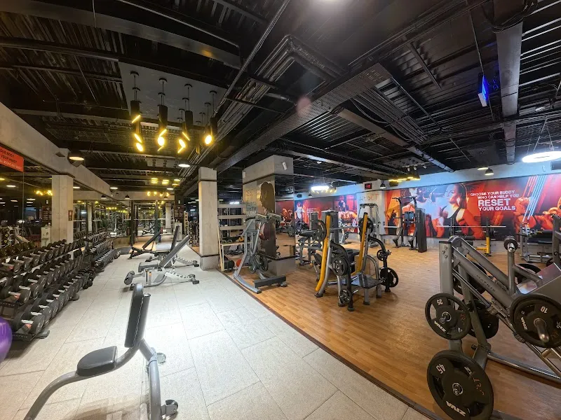 Reset Life Gym Koramangala| Best gym in Koramangala