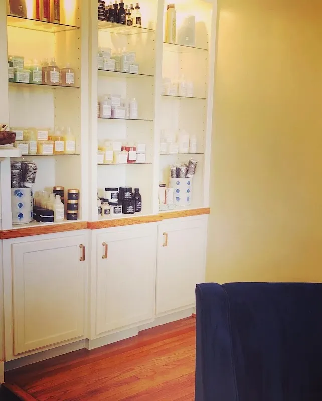 The Salon on Main
