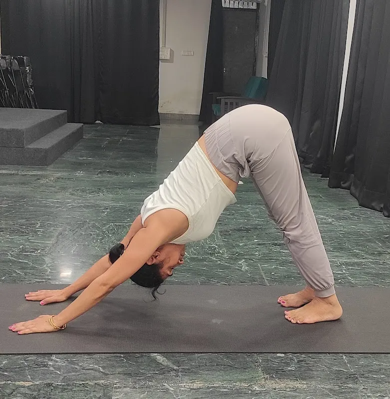 Ekantik Yog - Yoga Classes Studio