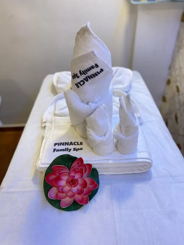 Pinnacle The Family Wellness Spa