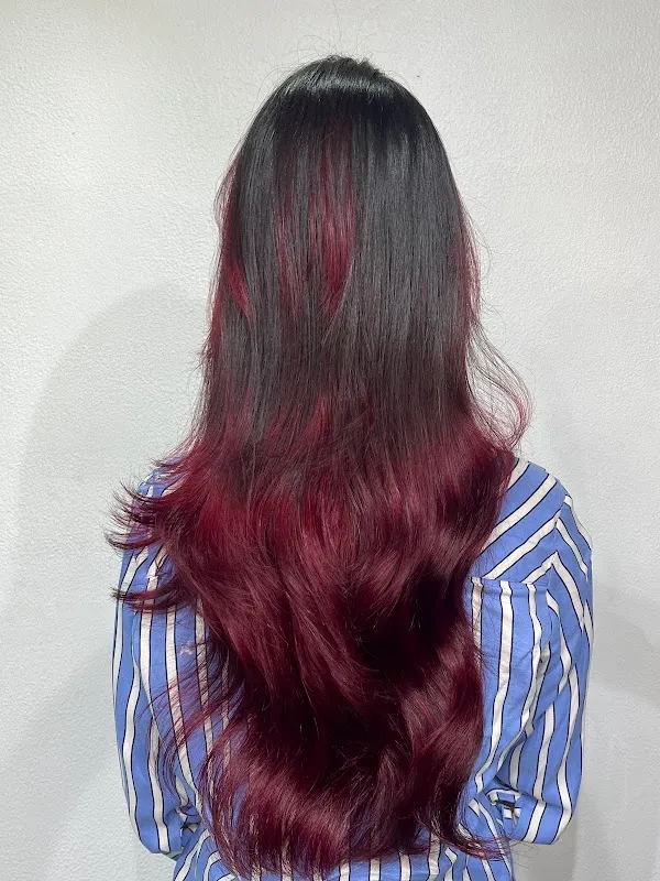 Lakme Salon For Him and Her in Apex Tower,Hazratganj,Lucknow
