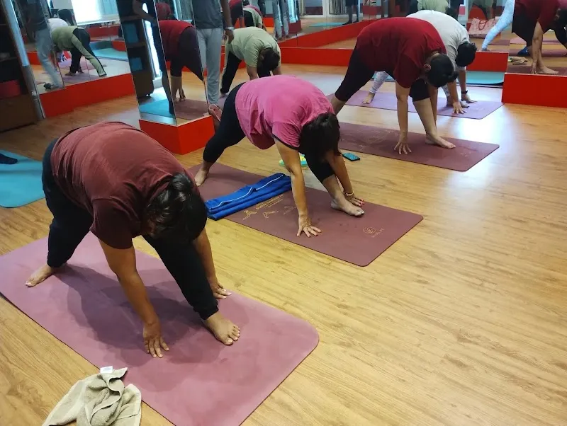Vibrant Vinyasa Yoga Classes