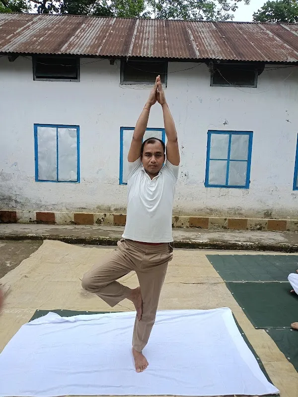 Vibrant Vinyasa Yoga Classes