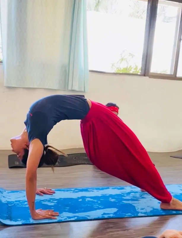Vibrant Vinyasa Yoga Classes